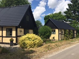 asian stjerne frederiksberg xvid asian stjerne frederiksberg xvid